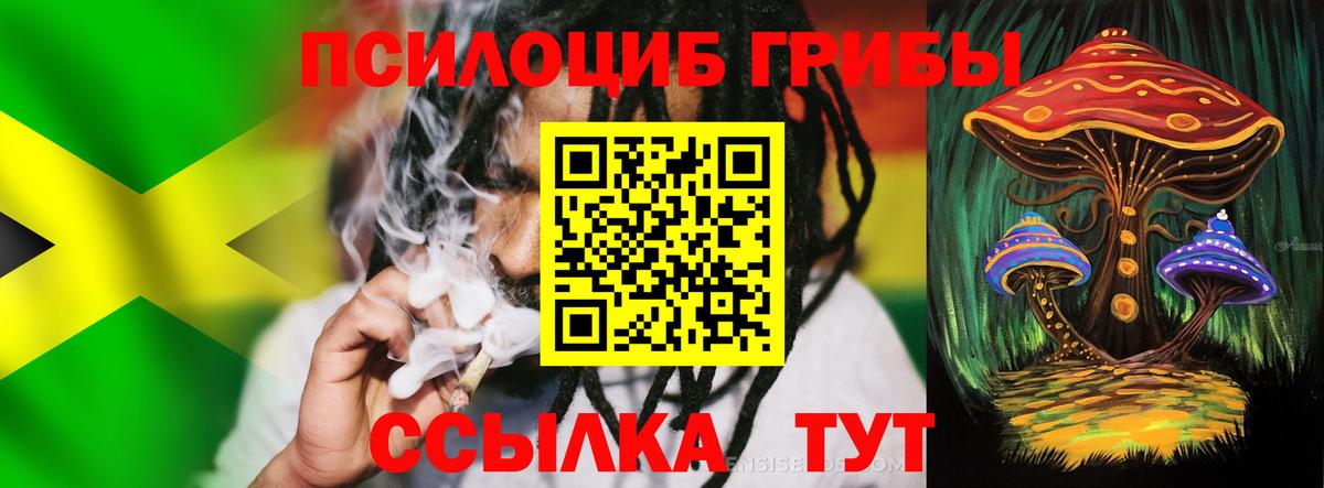 сколько стоит  Вход с VPN  Канаш  Псилоцибиновые грибы Psilocybe 