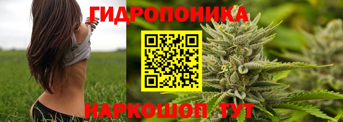 МАРИХУАНА индика  Конопля семена  Марихуана индика  Вход с VPN  Бошки марихуана тримм  Канаш 